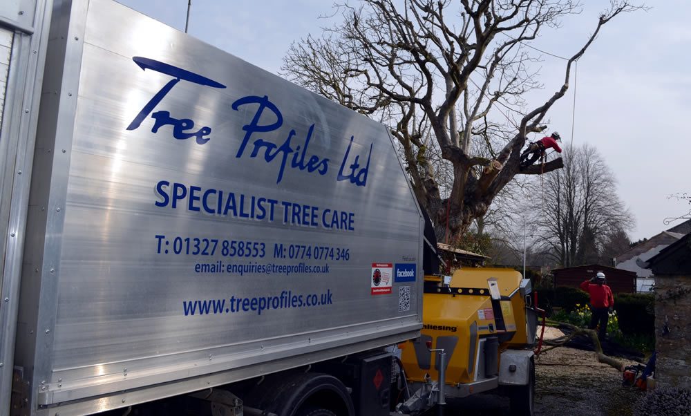 Tree Surgeons - Image of the Tree Profiles Ltd truck