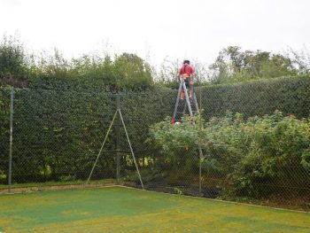 Permalink to: Hedge Trimming