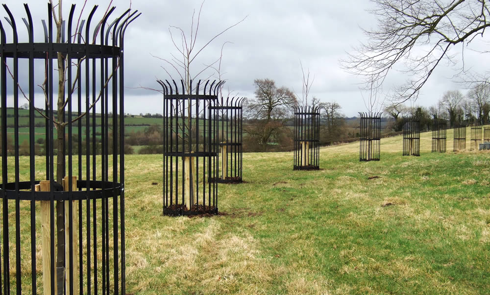 Tree Planting and Hedge Trimming