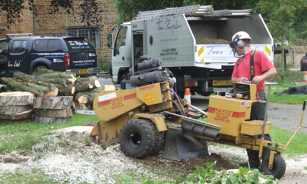 Stump Grinding